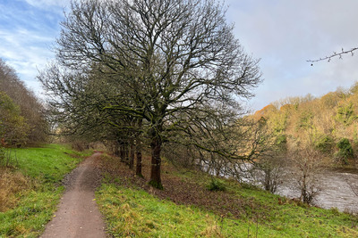 Walk photo