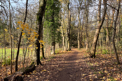 Walk photo