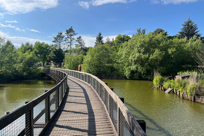 Walk photo