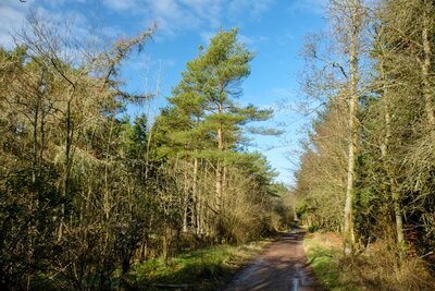 Walk photo