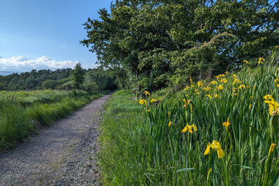 Walk photo
