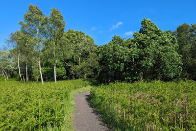 Walk photo