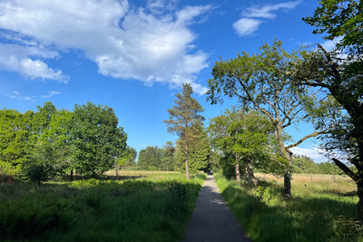 Walk photo