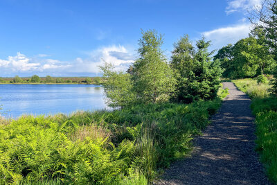 Walk photo