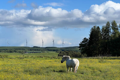Palacerigg Country Park, Cumbernauld