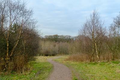 Walk photo