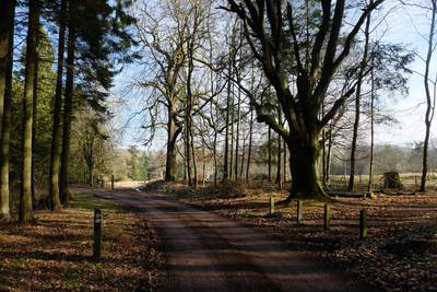 Walk photo