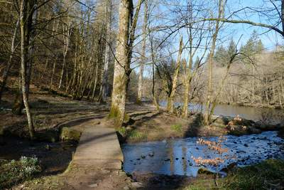 Walk photo