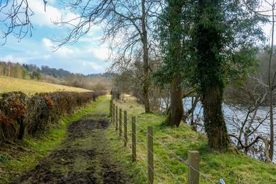 Walk photo