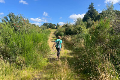 Walk photo