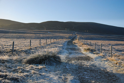 Walk photo