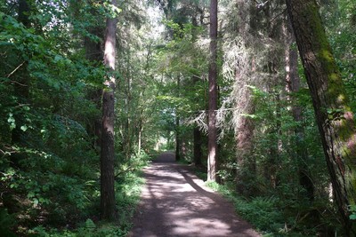 Walk photo