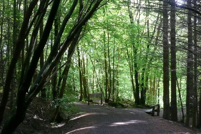 Walk photo