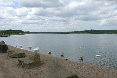Walk photo