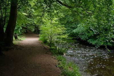 Calderglen, East Kilbride