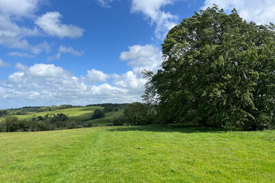 Walk photo