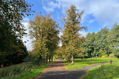 Walk photo