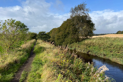 Walk photo