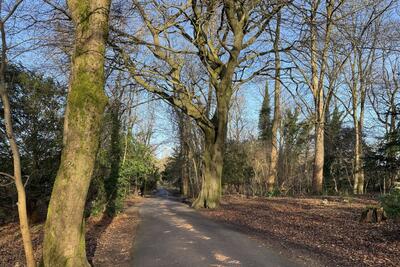 Walk photo