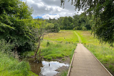 Walk photo