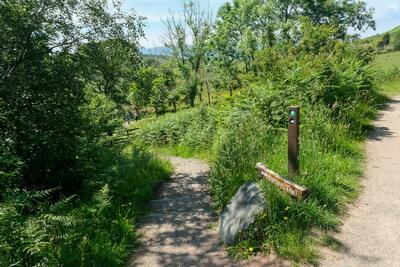 Walk photo