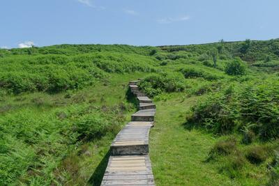 Walk photo
