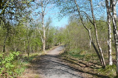 Walk photo