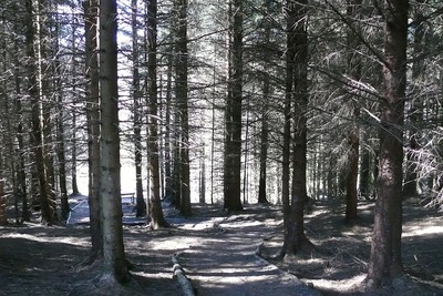Walk photo