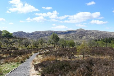 Walk photo