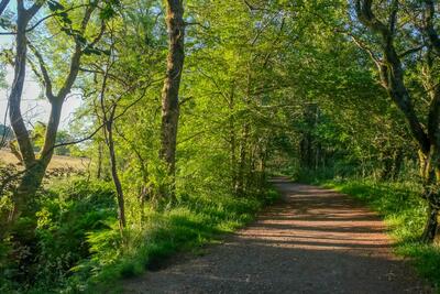 Walk photo