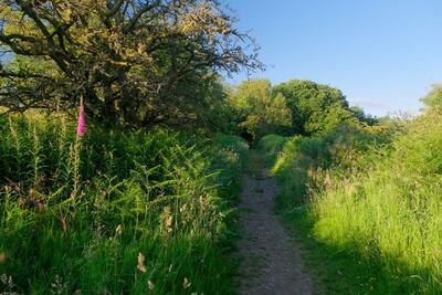 Walk photo