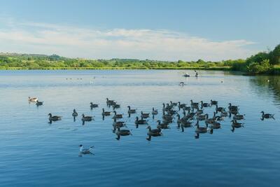 Castle Semple Loch, Lochwinnoch