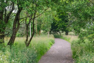 Walk photo
