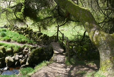 Walk photo