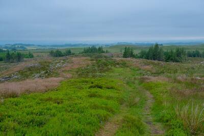 Walk photo