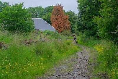 Walk photo
