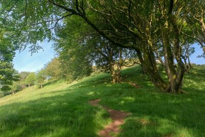 Walk photo