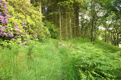 Walk photo