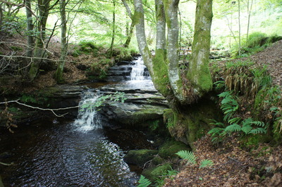 Walk photo