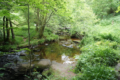 Walk photo