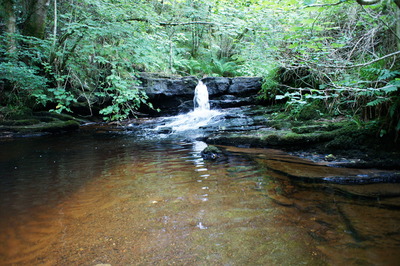 Walk photo