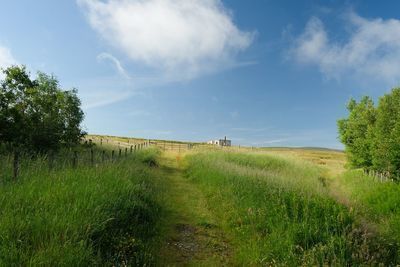 Walk photo