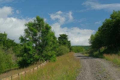 Walk photo