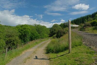 Walk photo