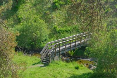 Walk photo