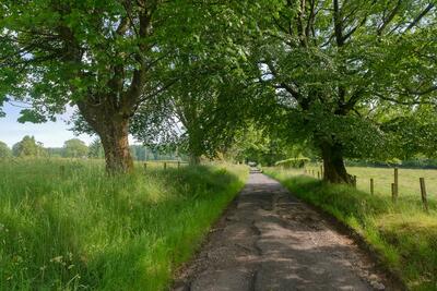 Walk photo