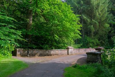 Walk photo