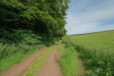Walk photo