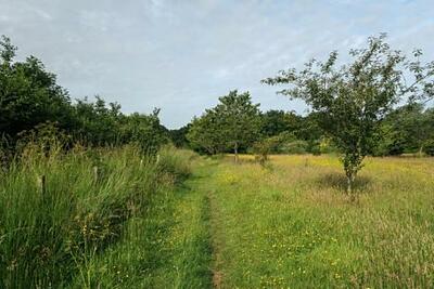 Walk photo