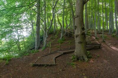 Walk photo